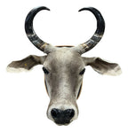 Decoração Country De Parede Cabeça De Boi Nelore Empalhada