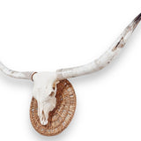 Crânio Real de Touro - Chifre LongHorn