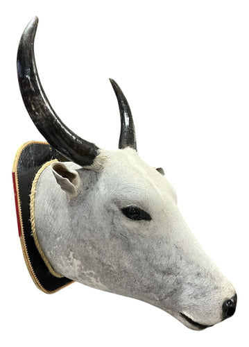 Decoração De Parede Cabeça De Boi Nelore Empalhada Country