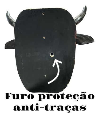 Decoração De Parede Cabeça De Boi Nelore Empalhada