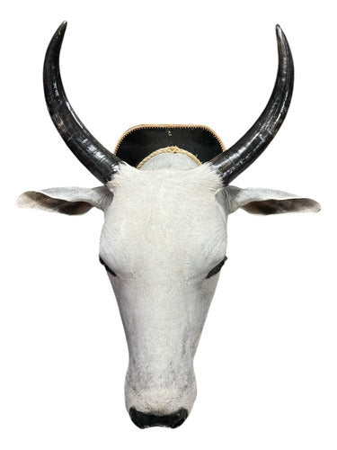 Decoração De Parede Cabeça De Boi Nelore Empalhada Country
